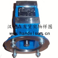 ROSSI 輥道輸送機(jī)專(zhuān)用齒輪減速電機(jī)