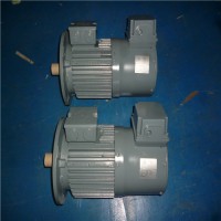 專業(yè)銷售石油、化工和天然氣工業(yè)電機-VEM