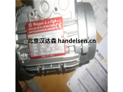 意大利 Melegari IEC 感應(yīng)電機(jī) 潛水電機(jī)優(yōu)勢(shì)供應(yīng)
