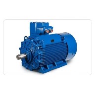CEMP-IEC 危險(xiǎn)區(qū)域電機(jī)-型號 E3AB 70r 132 SB2用于海產(chǎn)的
