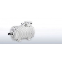 德國(guó)進(jìn)口原廠(chǎng)VEM 低電壓 變壓器電機(jī)