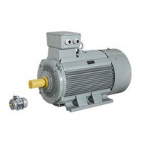 AC-MOTOREN 原廠采購單項(xiàng)電動機(jī)
