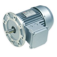 Ber-Mar異步電機逆變器驅(qū)動器IE1: 2 poles原裝進口