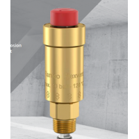 FlexventNexus閥門(mén)CW617N-DZR