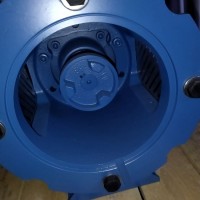 Pompetravaini液環(huán)真空泵TRH 32-20石化 、制藥 、食品領(lǐng)域