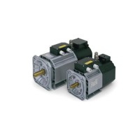 OEMER異步電動(dòng)機(jī) QCA90SA/2系列 可變速使用，由逆變器供電