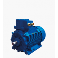 Marelli Motori 是電機和發(fā)電機的領(lǐng)先制造商，適用于多種工業(yè)領(lǐng)域