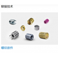 Bossard 提供多種不同類(lèi)型的螺母，墊圈，螺釘，鉚釘?shù)染o固件
