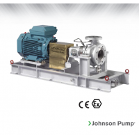 Johnson Pump 重型流程泵，適合化工/石化工業(yè)、煉油廠和一般工業(yè)應(yīng)用