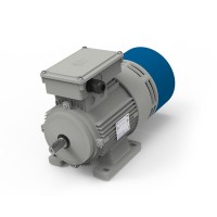 意大利MT Motori TFP112三相高制動力矩電機(jī)