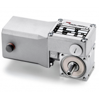 Mini Motor 蝸輪蝸桿直流減速電機(jī)BC2000-24MP，永磁直流電，全封閉