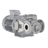 Johnson Pump 內(nèi)嚙合齒輪泵，適用于中等粘度、清潔和非磨蝕性液體